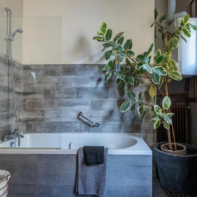 Boutique Saint Germain Apartment Paris